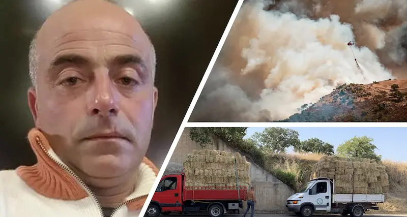 Inferno di fuoco nel Montiferru, Gianuario Falchi: “Cari politici ancora una volta avete dimostrato che siete veramente lontani dalla realtà”