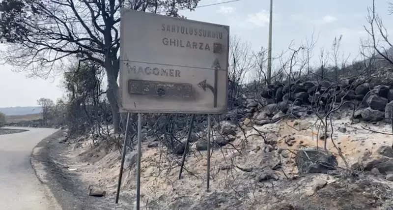 Incendi: al via le indagini del Corpo forestale per individuare le cause del disastro