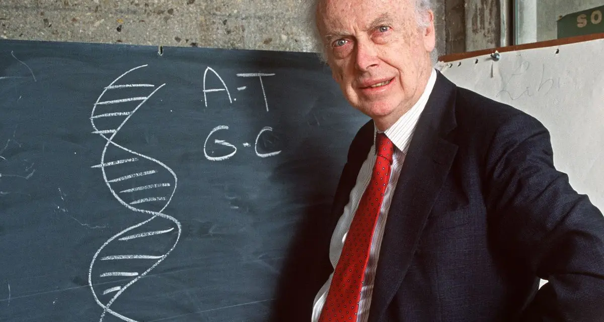 Il premio Nobel Watson scatena la polemica: “I neri sono meno intelligenti dei bianchi, lo dice il dna”