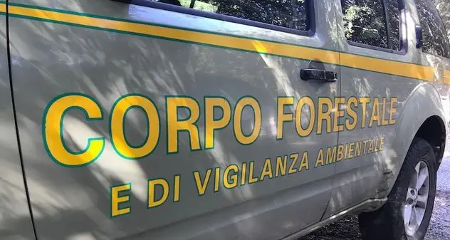 Trovato scheletro nella Baia di Capo Caccia