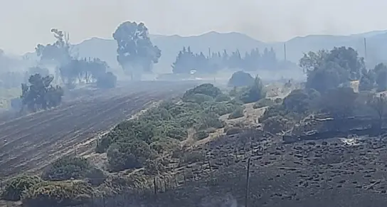 Incendi. Proseguono operazioni di bonifica nell'Oristanese