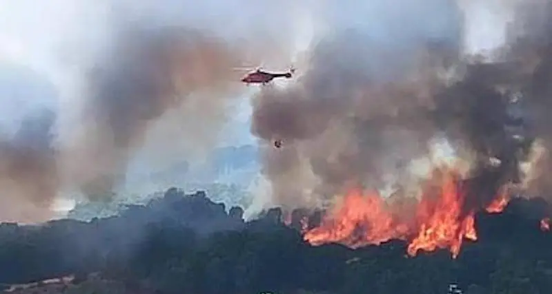 Incendi nell’Oristanese: la Provincia mette in sicurezza le strade