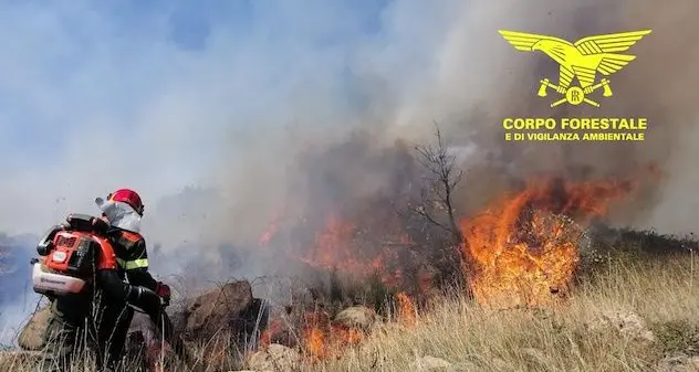 Incendi a Nurri e Golfo Aranci: intervengono elicotteri