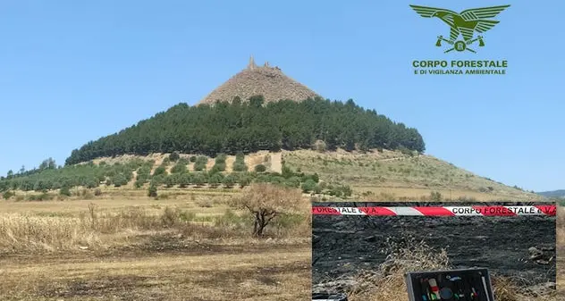 Arrestato dagli agenti della Forestale un presunto incendiario