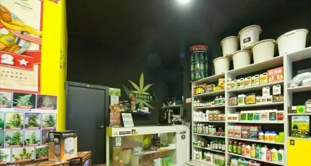 Cannabis: aumentano i negozi in Sardegna