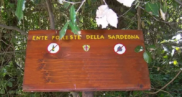 Personale Forestas. Ganau: «Inaccettabile impugnare la legge regionale»