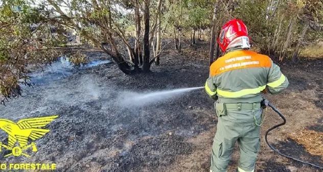 Tredici incendi oggi in Sardegna: a Nurri e Carloforte mezzi aerei in volo