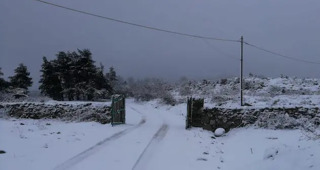 Torna la neve in Sardegna: Bono si tinge di bianco