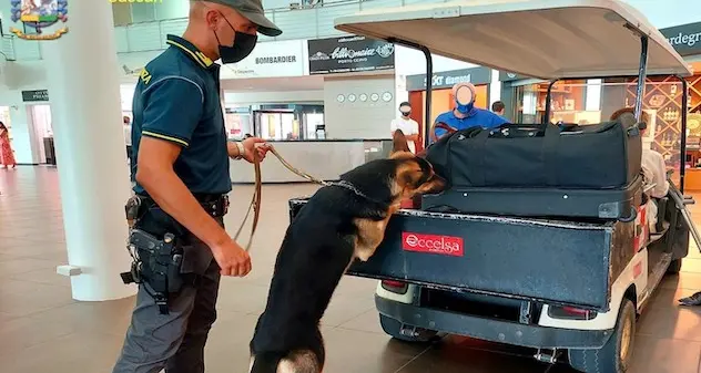 “Cash Dog” all’aeroporto di Olbia contro gli evasori fiscali