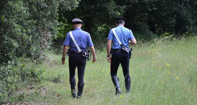 Villasor. Porta le pecore a pascolare nel terreno di un 35enne: lui lo investe