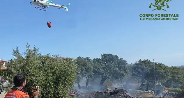 Incendi. Fiamme a Nurri e Carloforte