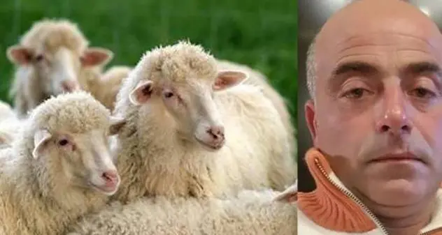 Lingua blu. Pastori: “L’arma non può essere solo il vaccino”