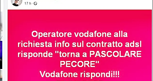 Chiama il call center Vodafone per disdire l’adsl: “Torni a pascolare le pecore