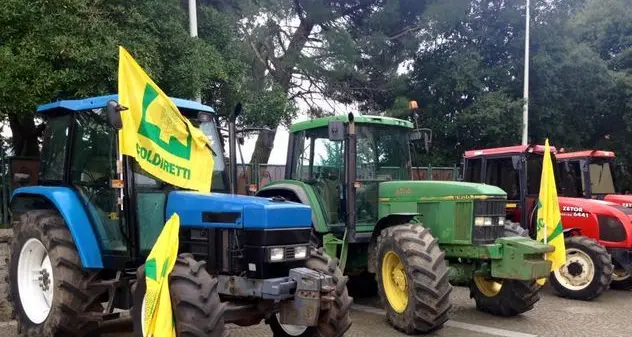 Coldiretti Sardegna: «La burocrazia spegne i motori dei trattori»
