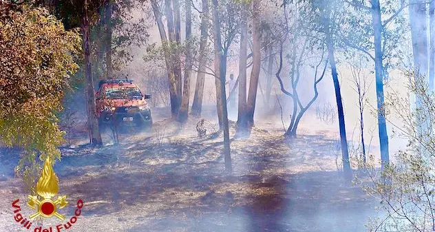 Incendio alla periferia di Olbia: evacuate alcune case