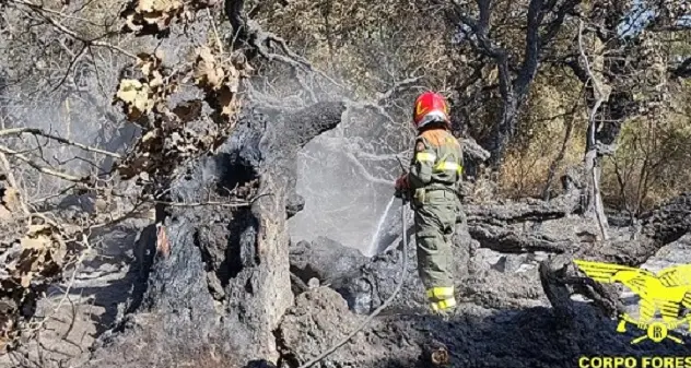 Due elicotteri in azione per incendio a Luogosanto