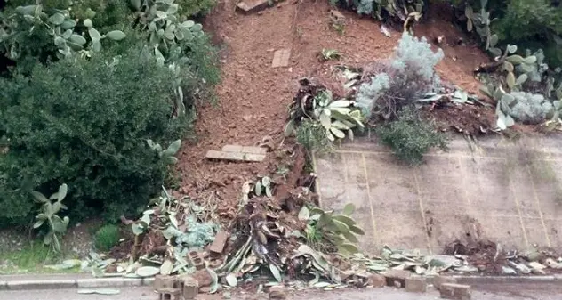 Smottamento a Bono: arbusti e detriti precipitano in strada