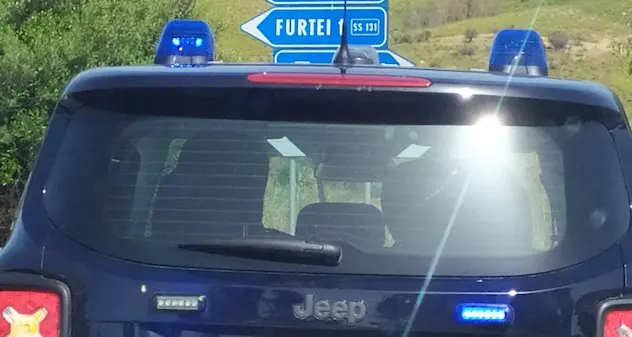 Villamar. Cavallo travolto da un'auto sulla provinciale