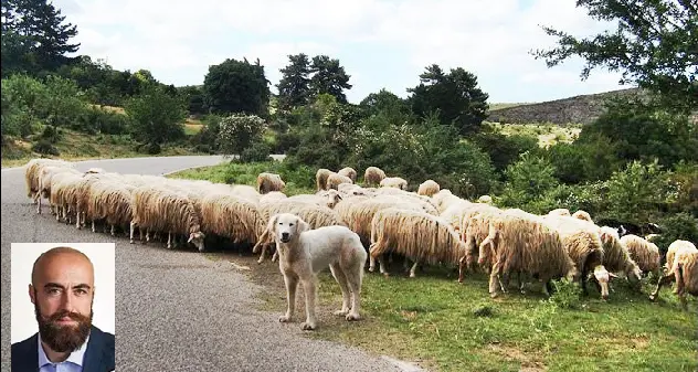 Stefano Lavra, l’ex assessore all’Ambiente scende in campo: “Meritiamo una terra di felicità\"