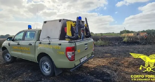 Fiamme a Silanus: sul posto due elicotteri del Corpo Forestale