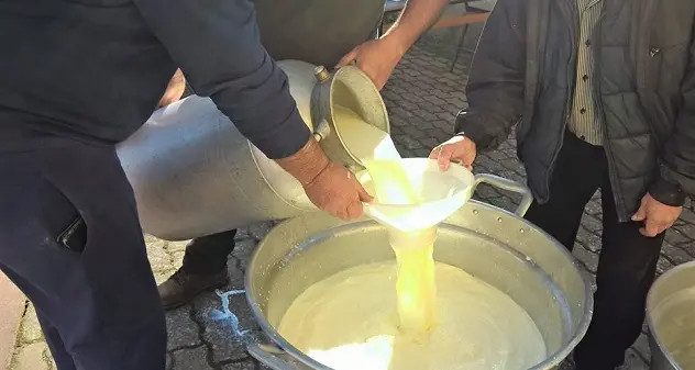 I pastori di Silius donano il latte alla Pro Loco: il formaggio prodotto sarà offerto nel corso degli eventi