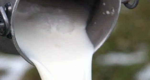 Presa di posizione del Centro Studi Agricoli: \"Prezzo del latte di pecora resti fermo a 1,50\"