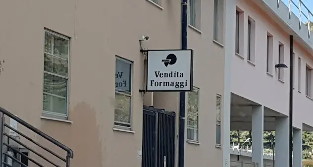 Parola ai fratelli Pinna: \"Da cento anni produciamo formaggio rigorosamente sardo\"