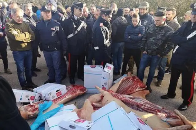 La protesta dei pastori sardi per il crollo del prezzo del latte arriva nello scalo di Porto Torres (Sassari), 10 febbraio 2019. Oltre un centinaio di contestatori ha fermato i tir frigo imbarcati a Genova. Gli allevatori hanno fermato un mezzo che trasportava carni suine provenienti dalla Francia e hanno gettato gran parte del carico a terra, chiedendo l\\'intervento delle autorit\\u00E0 sanitarie e denunciando \"le pessime condizioni della merce destinata al mercato locale\". \\nANSA/GIAN MARIO SIAS