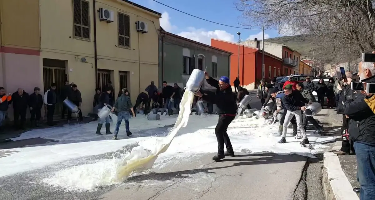 Prezzo del latte. Pastori in protesta anche a Bonnanaro
