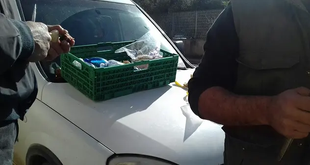 Sestu. Guerra del latte, caseificio Podda 'bloccato' col presidio degli allevatori