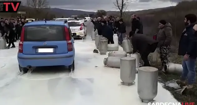 Statale 131 bloccata in Gallura: pastori fermano il traffico per protestare contro il prezzo del latte
