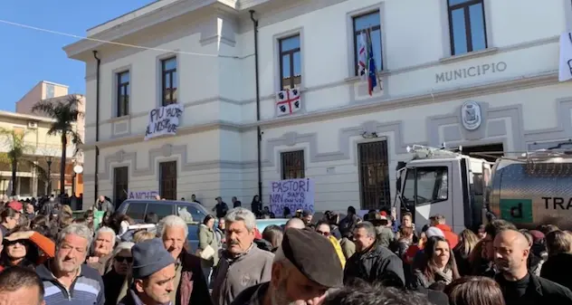 Tertenia. Studenti in piazza con i pastori. VIDEO