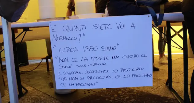 A Norbello i pastori fanno formaggio e ricotta. VIDEO