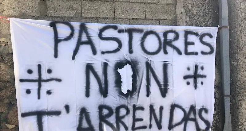 Il presidente di Eurispes interviene sulla protesta dei pastori sardi: “Siamo di fronte ad una evidente condizione di sfruttamento”