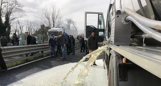 Vertenza del latte: trattativa sospesa e rimandata a sabato prossimo