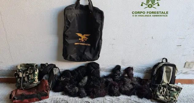 Villaputzu. Bracconieri sorpresi da una pattuglia della Forestale