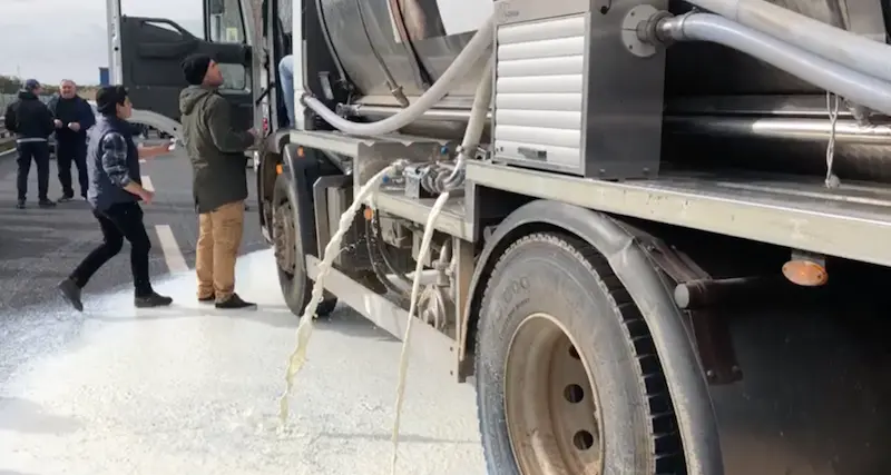Protesta del latte. Caseifici in sofferenza, incontro in prefettura a Oristano