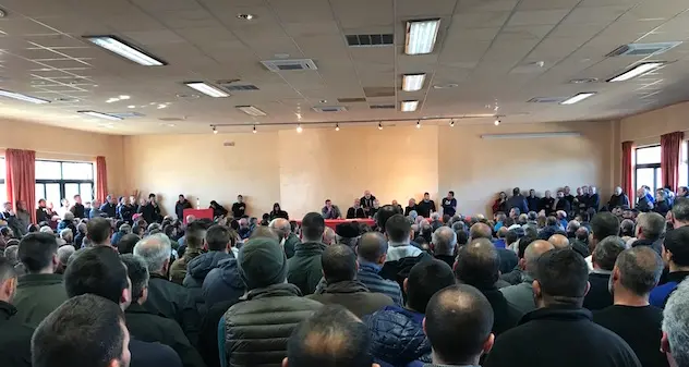 Vertenza latte: riunione dei pastori a Tramatza. VIDEO