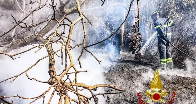 Cuglieri. Fiamme nei pressi di un'azienda agricola: tempestivo intervento dei Vigili del Fuoco