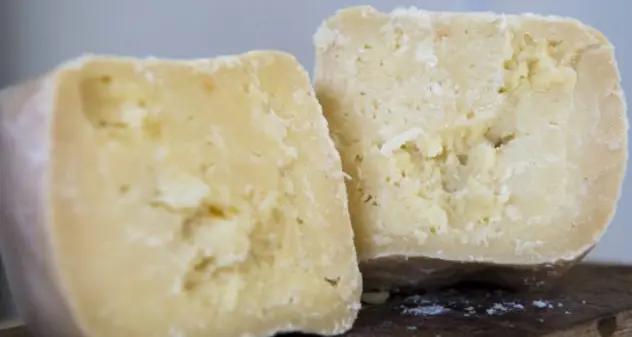 Consorzio Tutela Pecorino Sardo diserterà tavolo di filiera