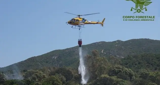 Incendi in Sardegna: 15 nella giornata di oggi