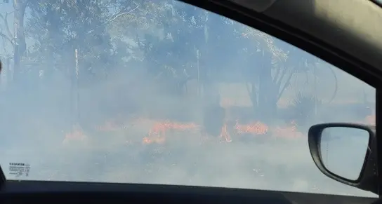 Fiamme ad Abbasanta e Bolotana, sul posto il Corpo forestale