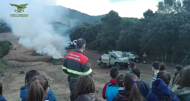 Piccoli studenti diventano aiutanti forestali