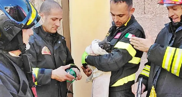 Incendio in un’abitazione, i Vigili del Fuoco mettono in salvo il proprietario e un gattino