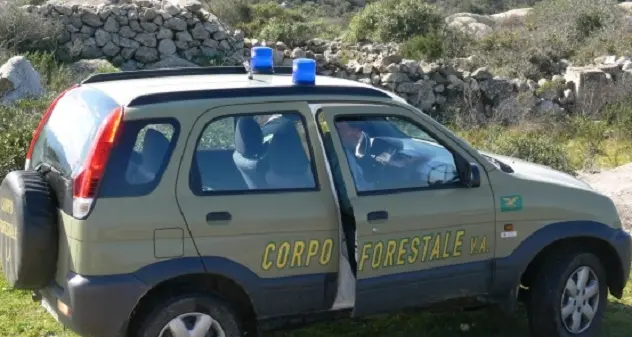 Incendiò l'auto di un comandante della Forestale, 2 anni e mezzo di carcere