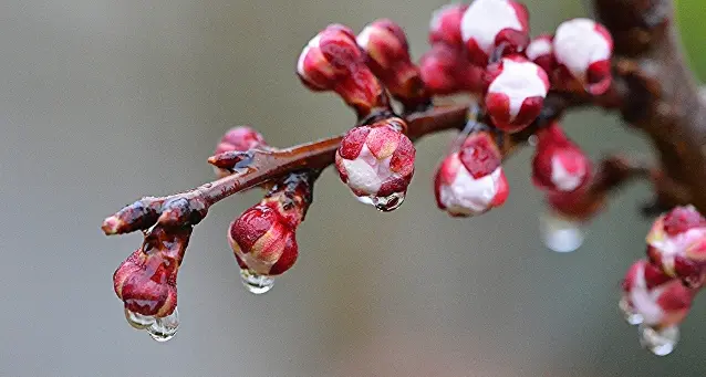 Previsioni meteo per domani 8 marzo