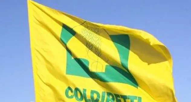 Coldiretti: “Cade il segreto di stato sui cibi stranieri”