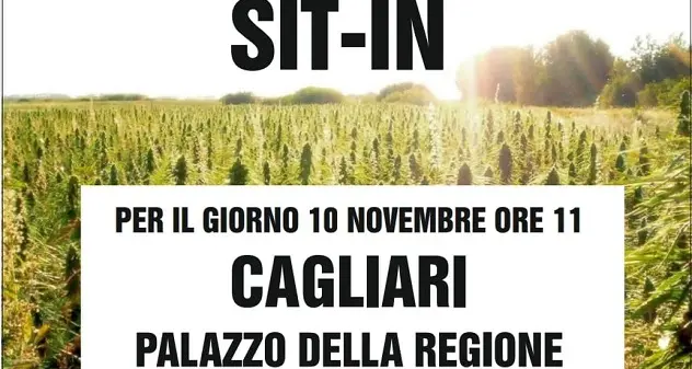 Canapicoltori sardi organizzano sit in davanti a Palazzo Regione: \"Chiediamo supporto\"