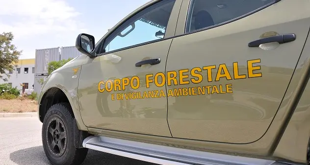 Concorso Corpo Forestale: gli over 30 esclusi per l'età pronti a protestare