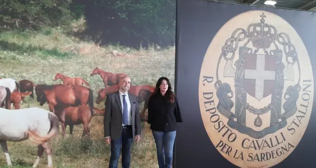 La Sardegna alla Fieracavalli di Verona. Murgia: \"Vetrina internazionale, noi protagonisti\"